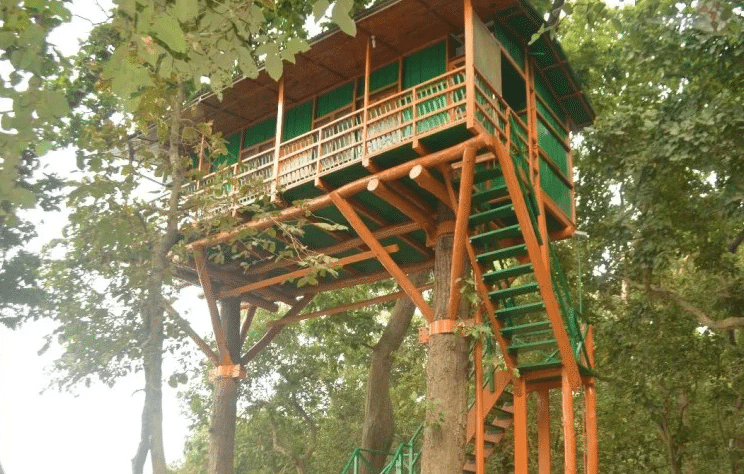 Chuka Tree House