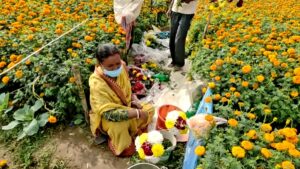 khirai-flower-selling