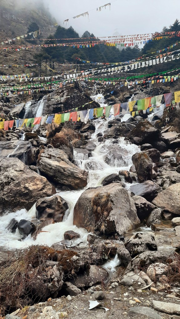 waterfall in Arunachal