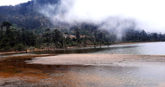 madhuri lake